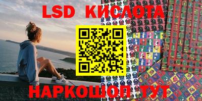 прущие грибы Краснознаменск
