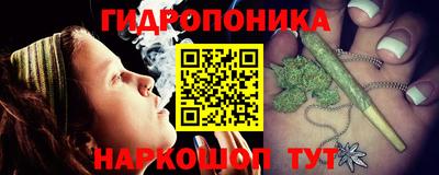 прущие грибы Краснознаменск