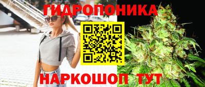 прущие грибы Краснознаменск