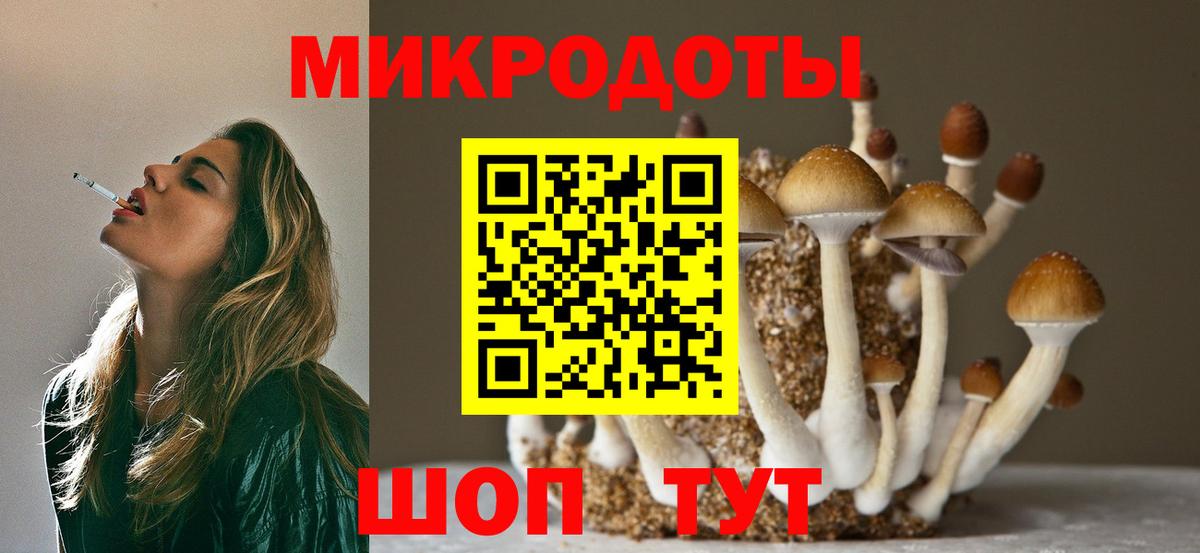 Псилоцибиновые грибы мицелий Чехов
