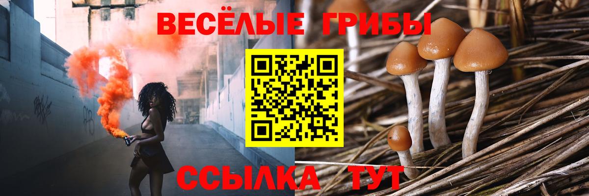 Галлюциногенные грибы GOLDEN TEACHER  Вход с VPN  Чехов 