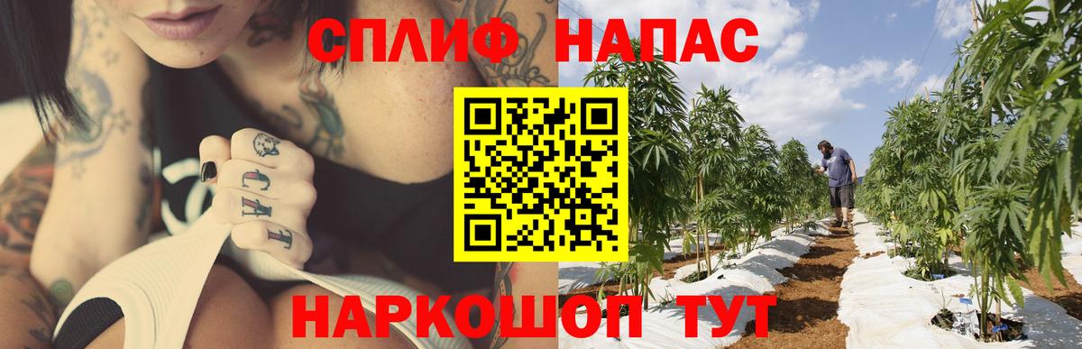 Каннабис MAZAR Чехов